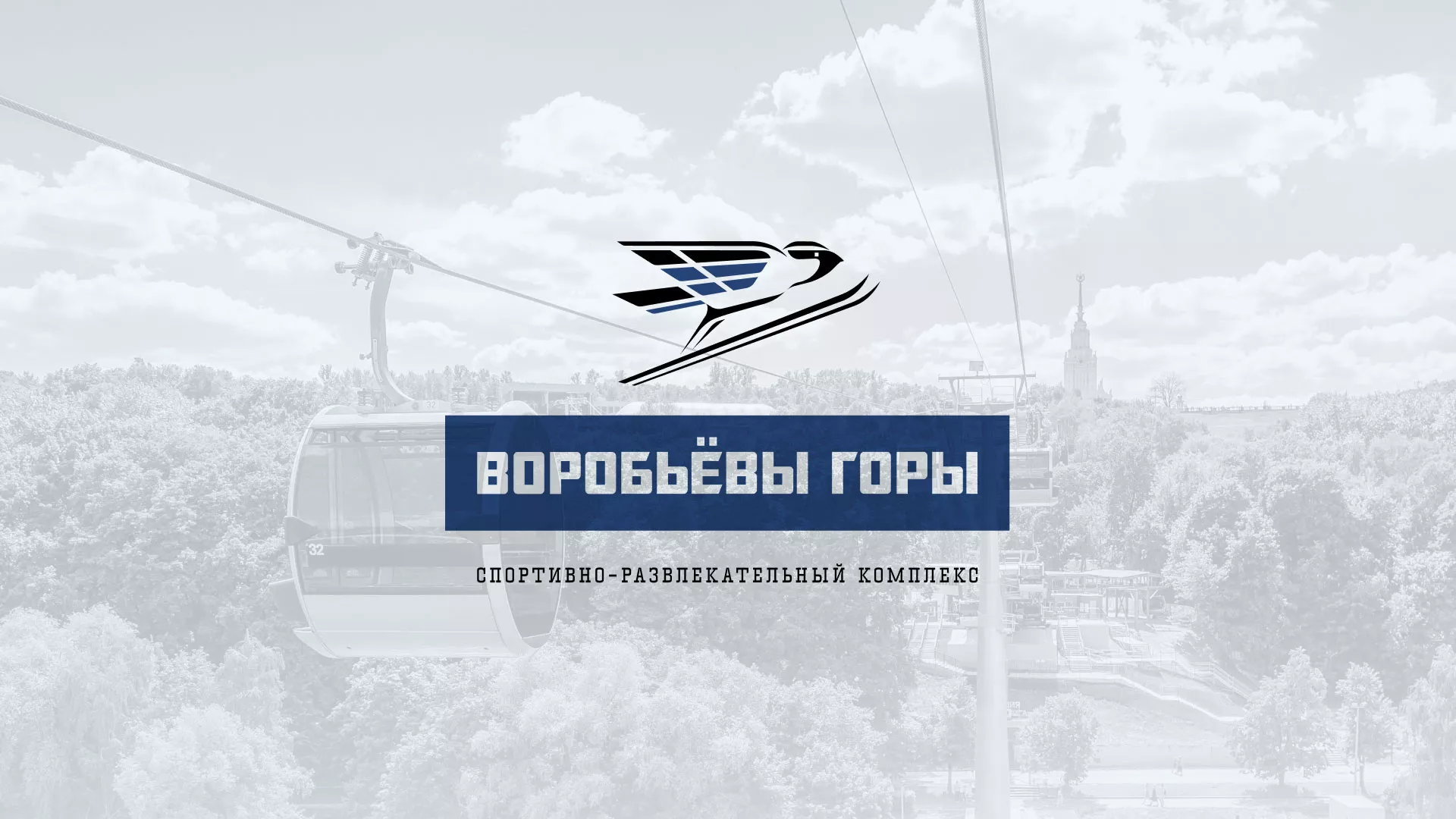 Разработка сайта в Алексеевке для спортивно-развлекательного комплекса «Воробьёвы горы»