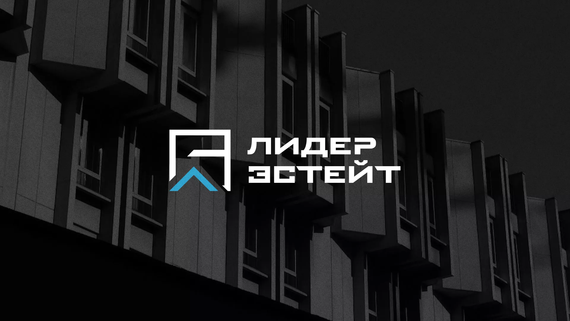 Разработка логотипа агентства недвижимости «Лидер Эстейт» в Алексеевке
